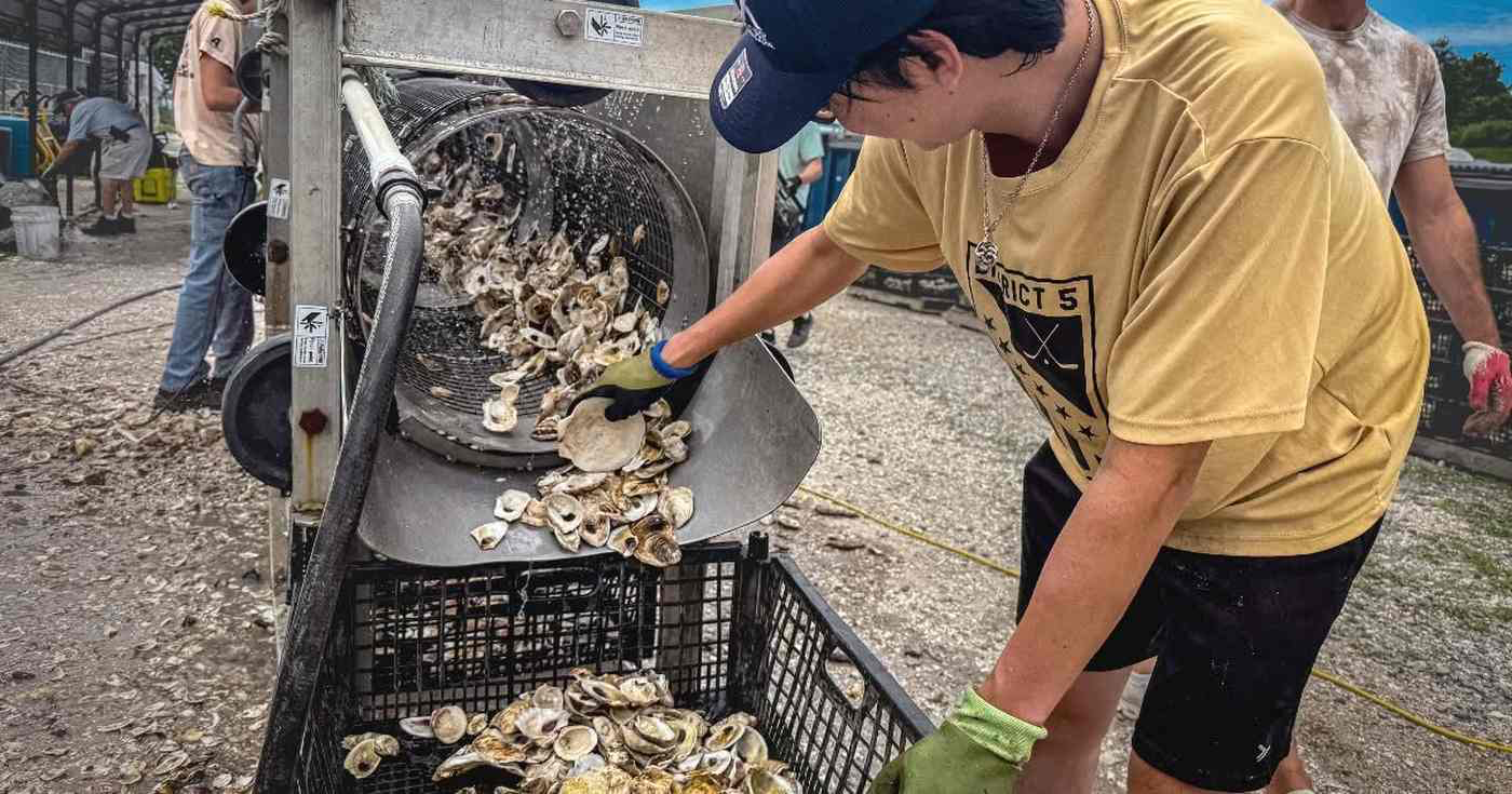 La revolución comunitaria transforma la tierra y el agua en Nueva York