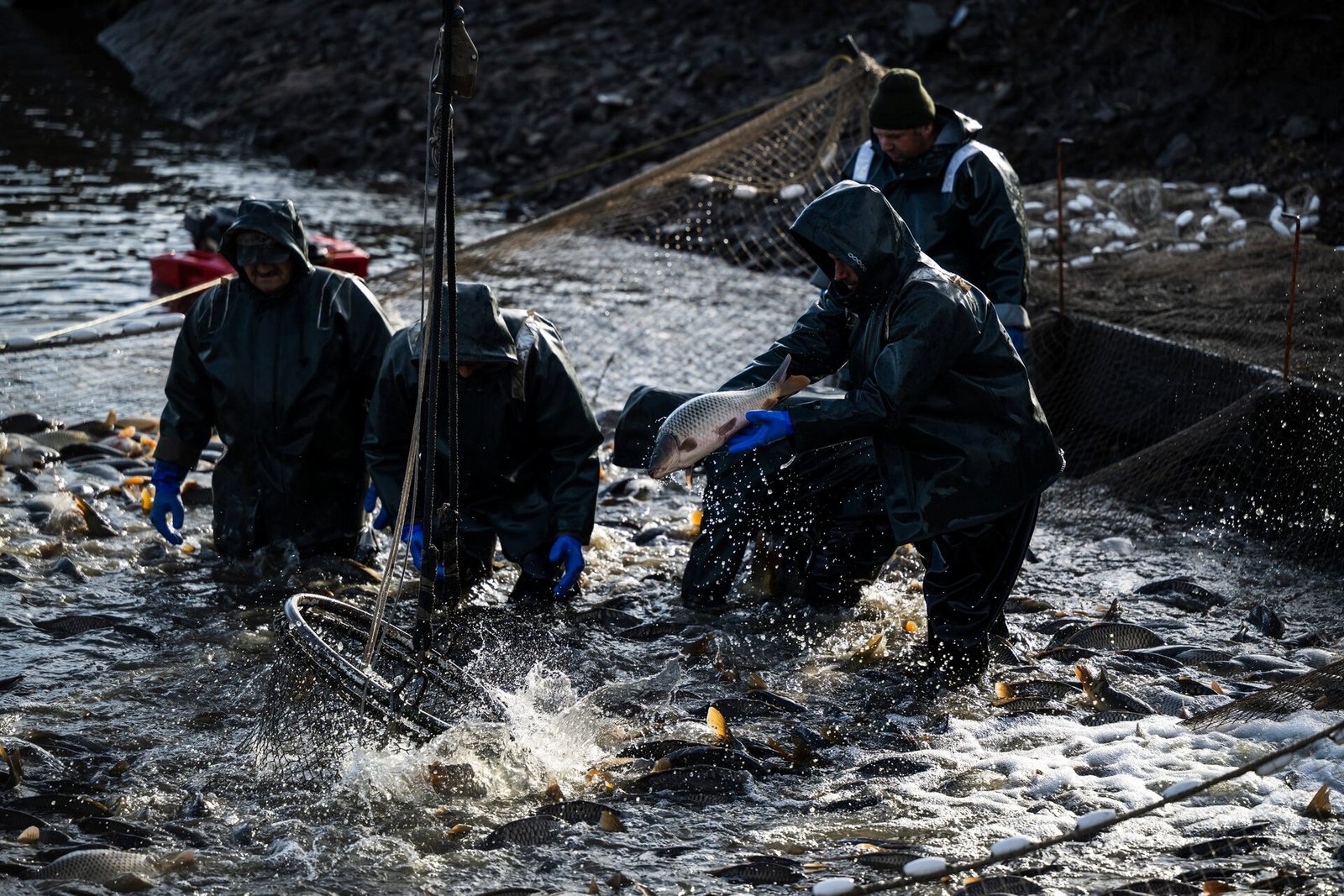 Reuters